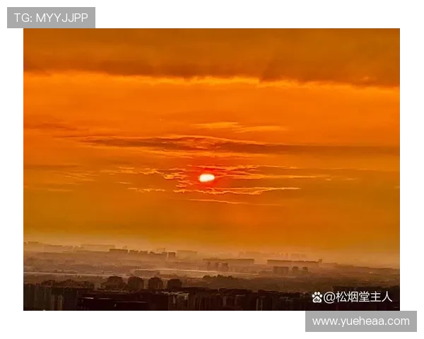 桔子的天空：在那片橙色的光辉里，遇见温柔的远方