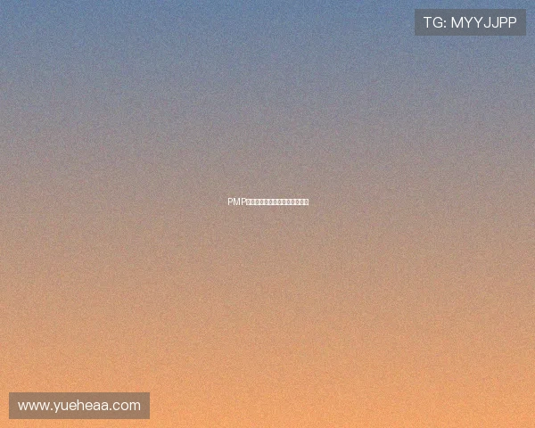 PMP电影：当项目管理遇上光影艺术